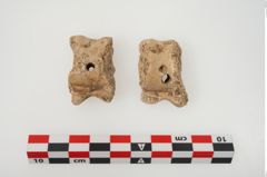 Foto von Astragalknochen (NHMW-PRAE-025128)